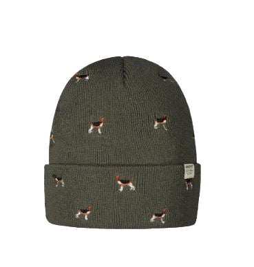 CAPPELLI VINSON BEANIE BARTS BEAGLE VERDE